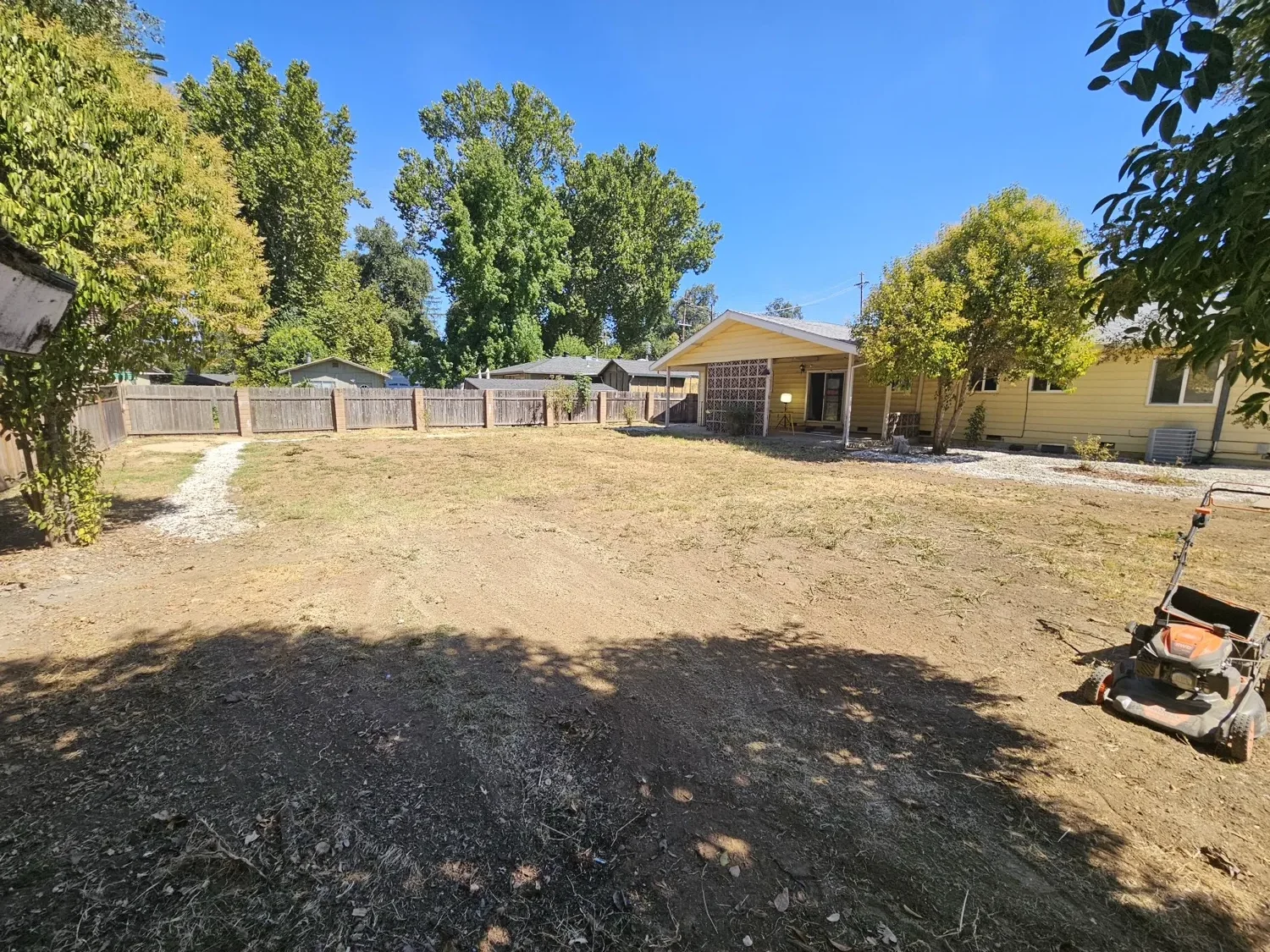 Large backyard cut back to clean, workable ground