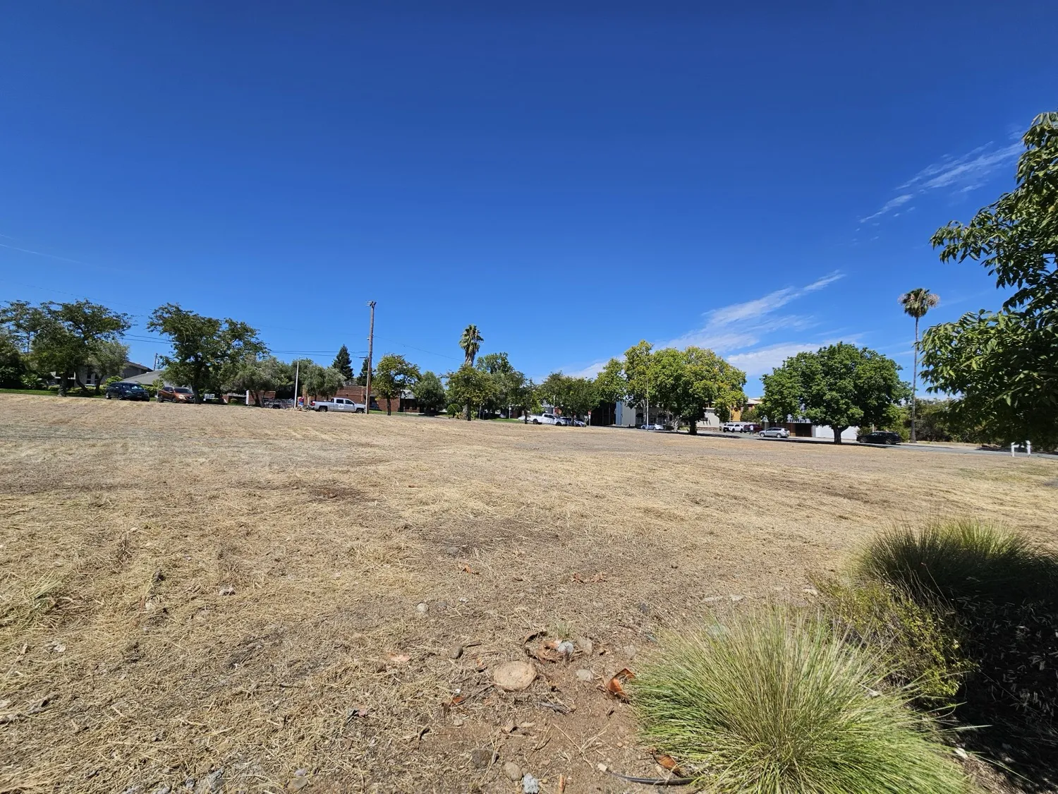 Commercial parcel cut low for weed abatement with the sidewalk frontage left clean in Shasta County
