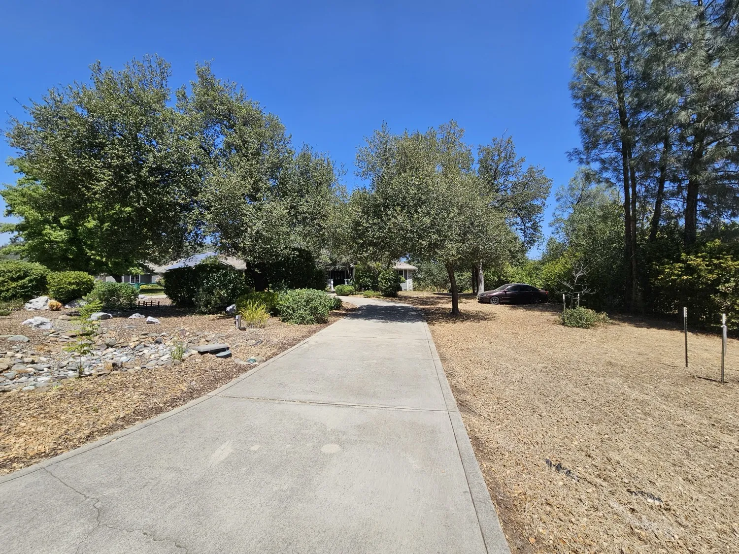 Maintained rural property with oaks along a clean driveway