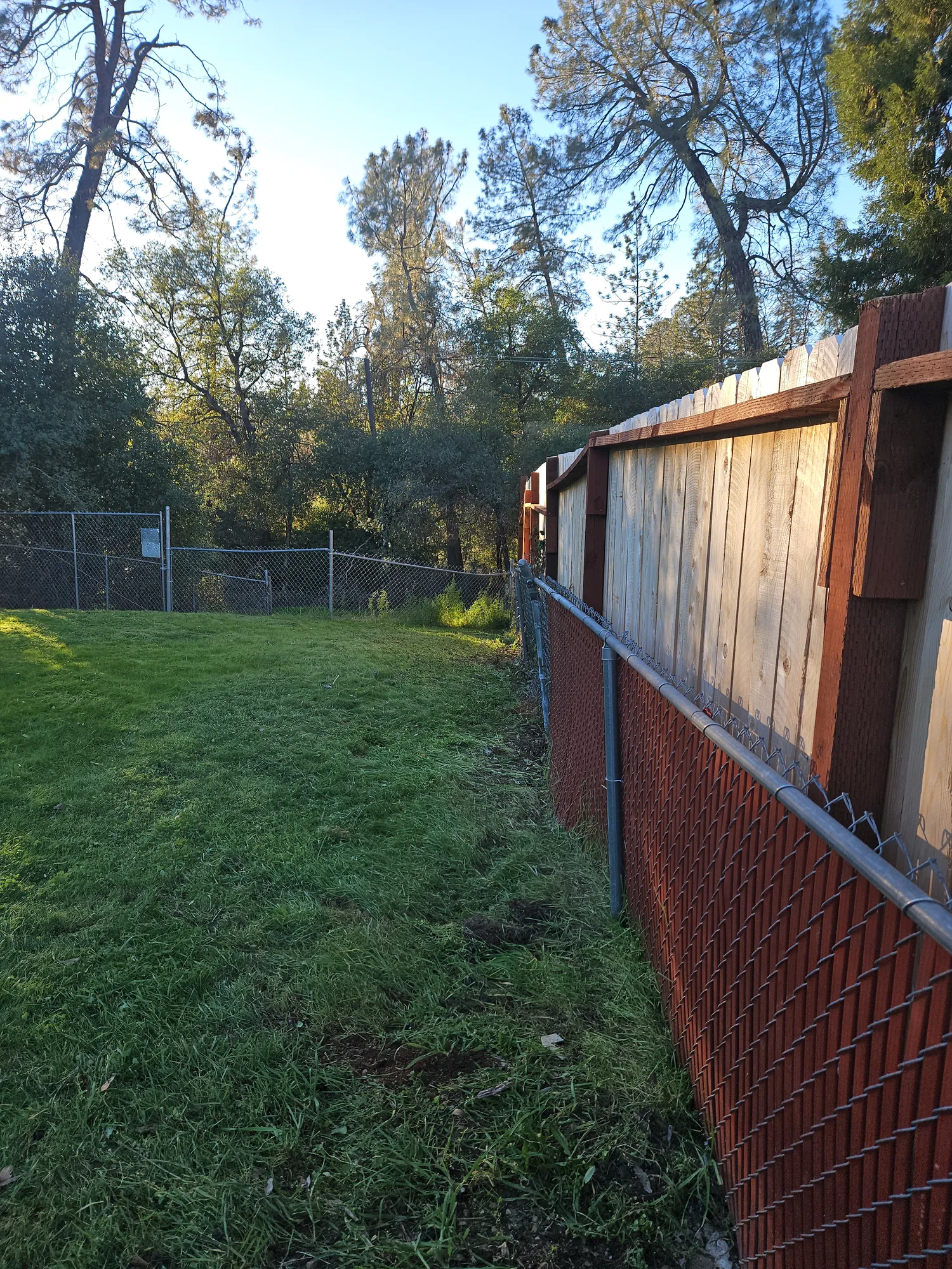 Pond & Shoreline in Redding, CA
