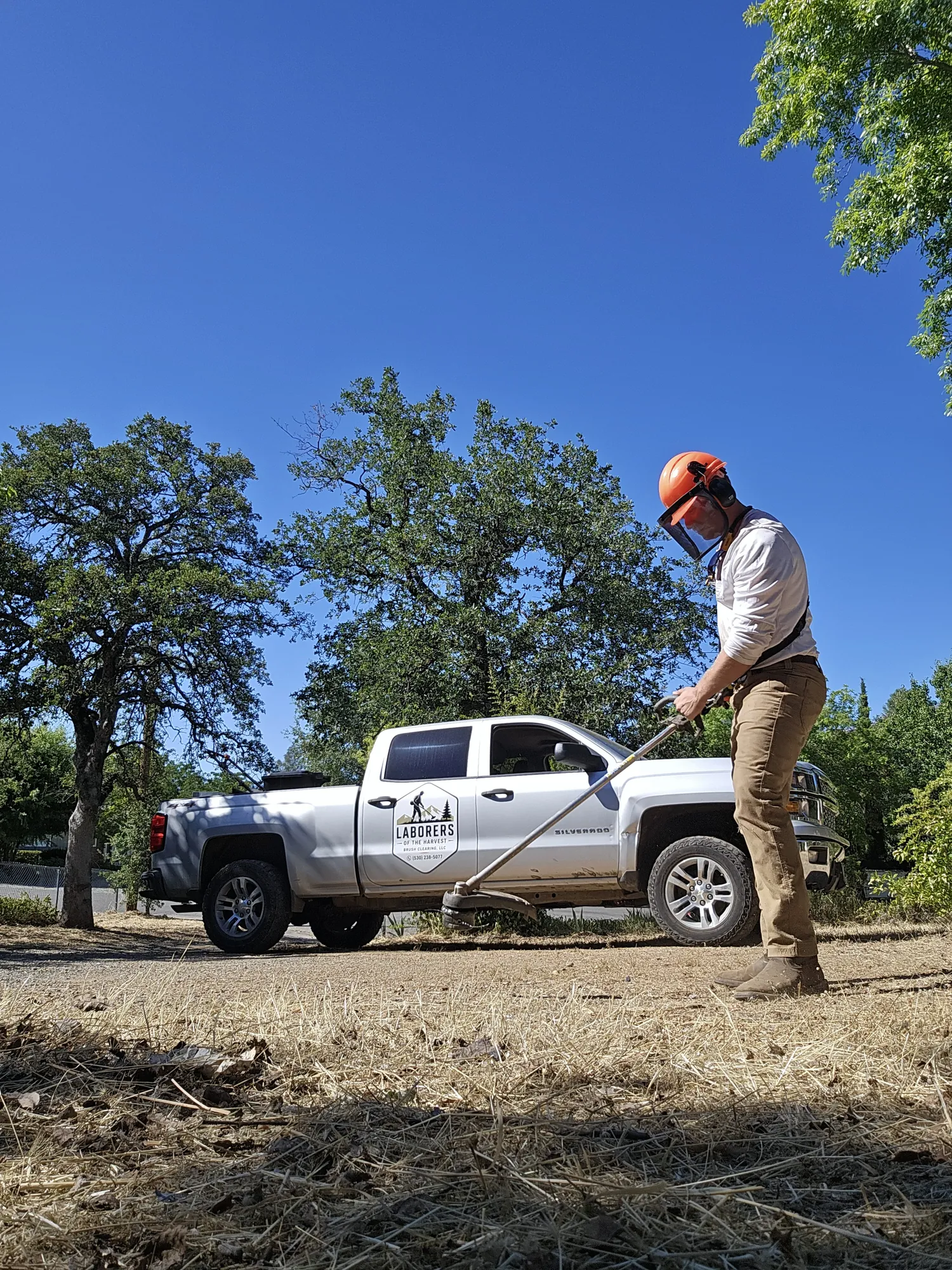Brush cutting in progress beside the company truck